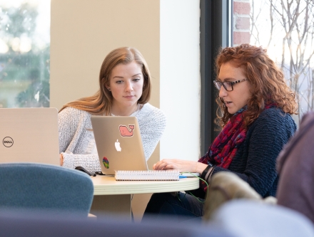 Two students working in the library