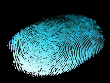 Fingerprint.