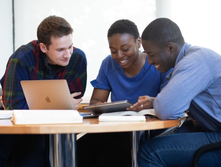 Students studying together