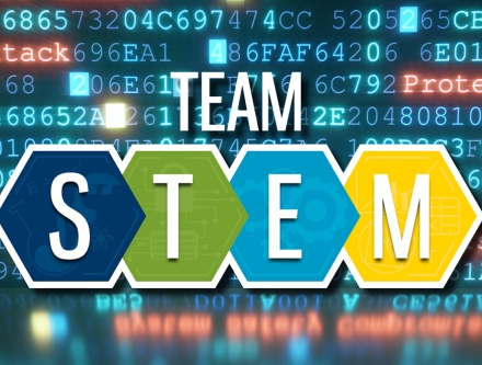 Team STEM