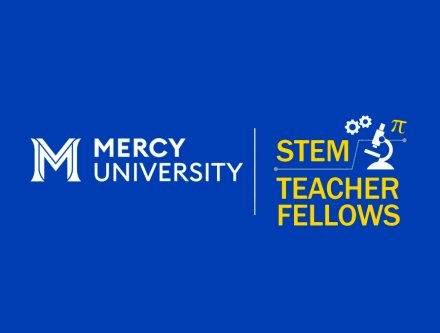 Teacher Fellows in STEM