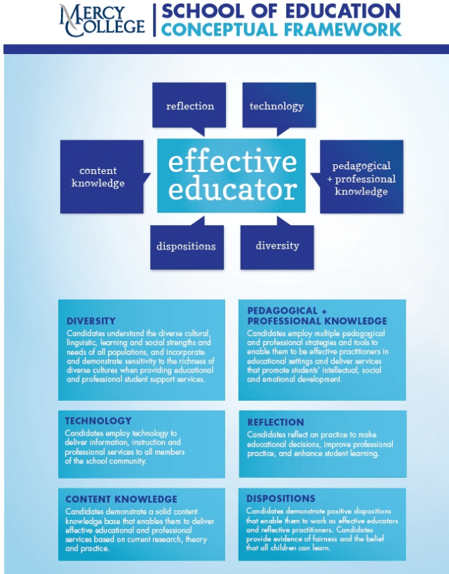 SOE - Conceputal Framework - Poster